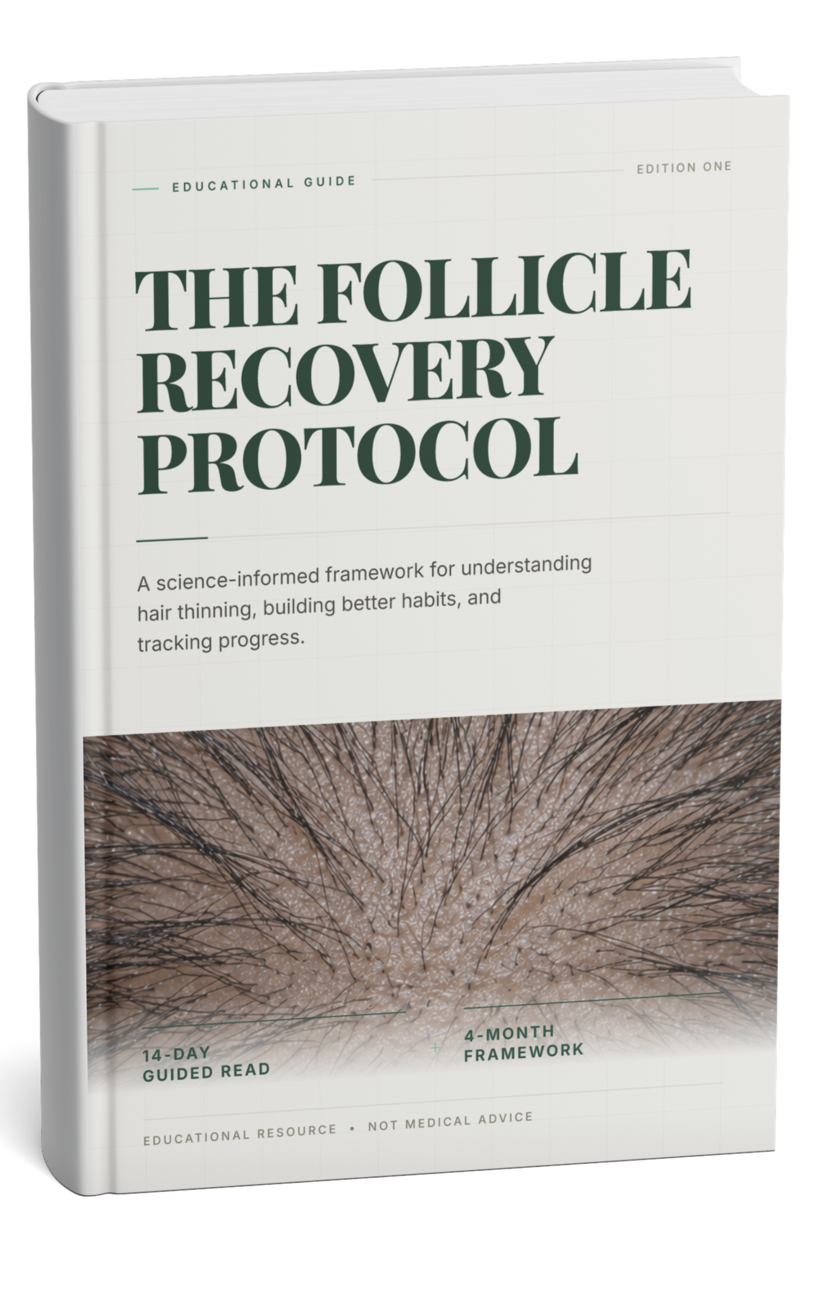 The Follicle Recovery Protocol — the complete educational guide